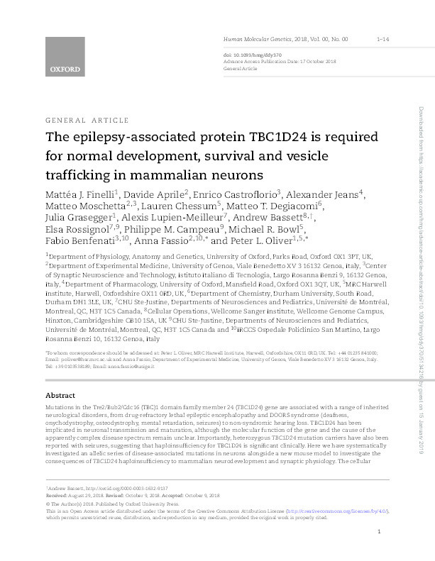 The epilepsy-associated protein TBC1D24 is required for normal development, survival and vesicle trafficking in mammalian neurons Thumbnail