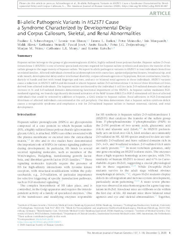 Bi-allelic Pathogenic Variants in HS2ST1 Cause a Syndrome Characterized by Developmental Delay and Corpus Callosum, Skeletal, and Renal Abnormalities Thumbnail