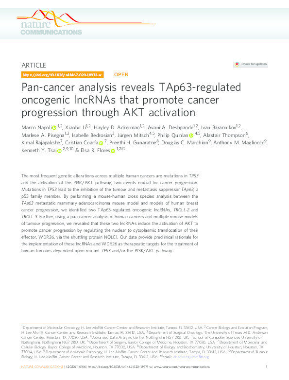 Pan-cancer analysis reveals TAp63-regulated oncogenic lncRNAs that promote cancer progression through AKT activation Thumbnail