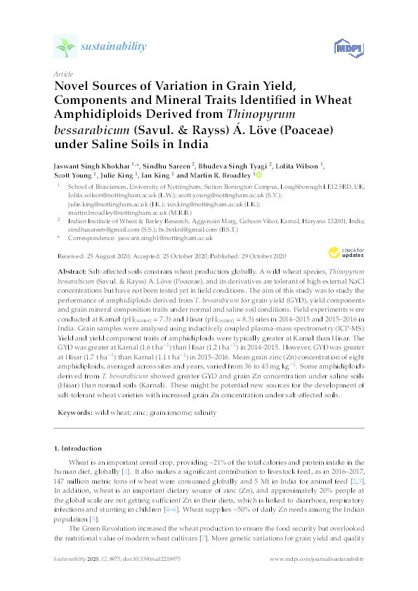 Novel sources of variation in grain yield, components and mineral traits identified in wheat amphidiploids derived from thinopyrum bessarabicum (Savul. & rayss) Á. löve (poaceae) under saline soils in India Thumbnail