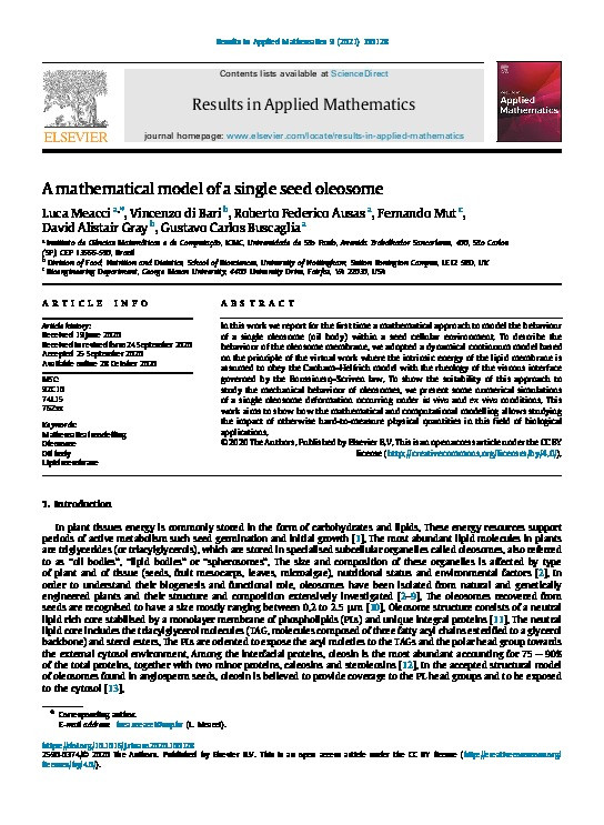 A mathematical model of a single seed oleosome Thumbnail