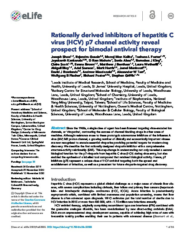 Rationally derived inhibitors of hepatitis C virus (HCV) p7 channel activity reveal prospect for bimodal antiviral therapy Thumbnail
