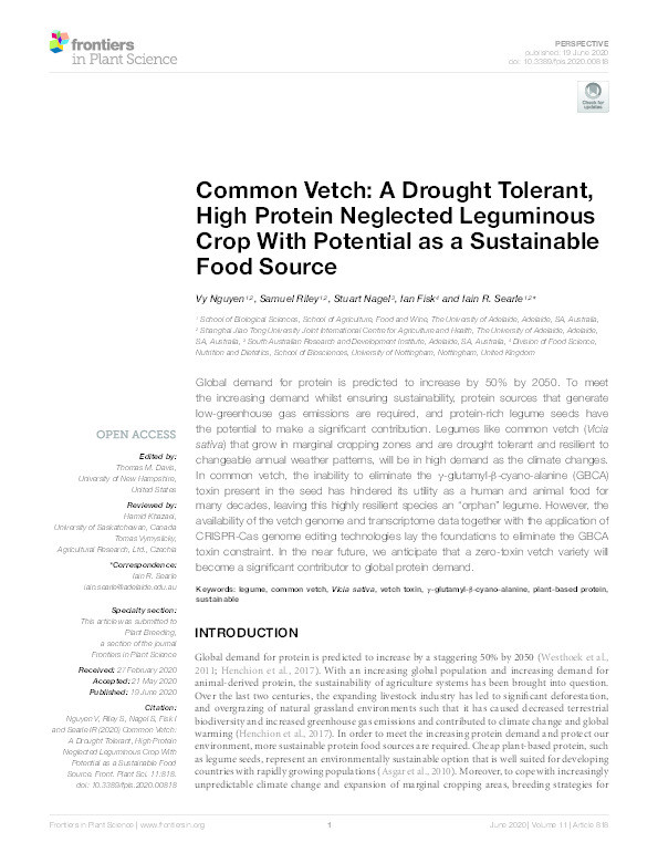 Common Vetch: A Drought Tolerant, High Protein Neglected Leguminous Crop With Potential as a Sustainable Food Source Thumbnail