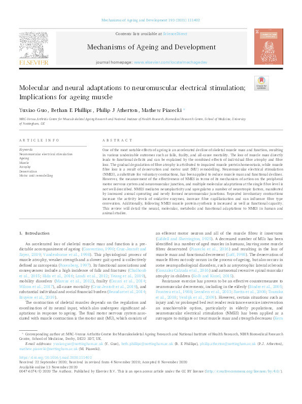 Molecular and neural adaptations to neuromuscular electrical stimulation;  Implications for ageing muscle - ScienceDirect