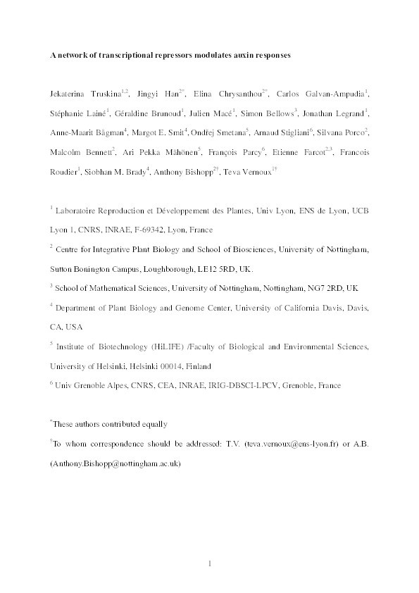 A network of transcriptional repressors modulates auxin responses Thumbnail