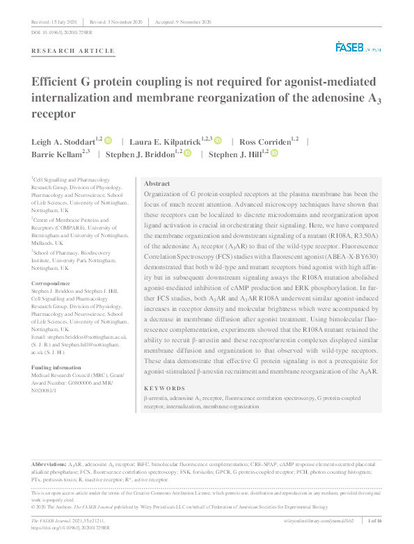 Efficient G protein coupling is not required for agonist‐mediated internalization and membrane reorganization of the adenosine A            3            receptor Thumbnail