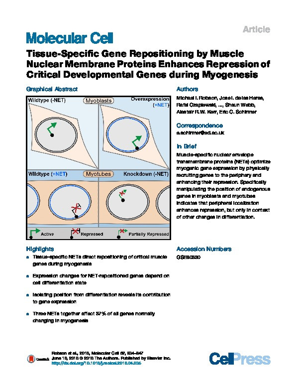 Tissue-Specific Gene Repositioning by Muscle Nuclear Membrane Proteins Enhances Repression of Critical Developmental Genes during Myogenesis Thumbnail