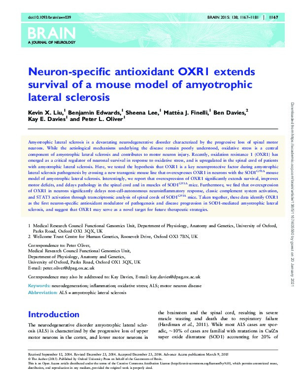 Neuron-specific antioxidant OXR1 extends survival of a mouse model of amyotrophic lateral sclerosis Thumbnail