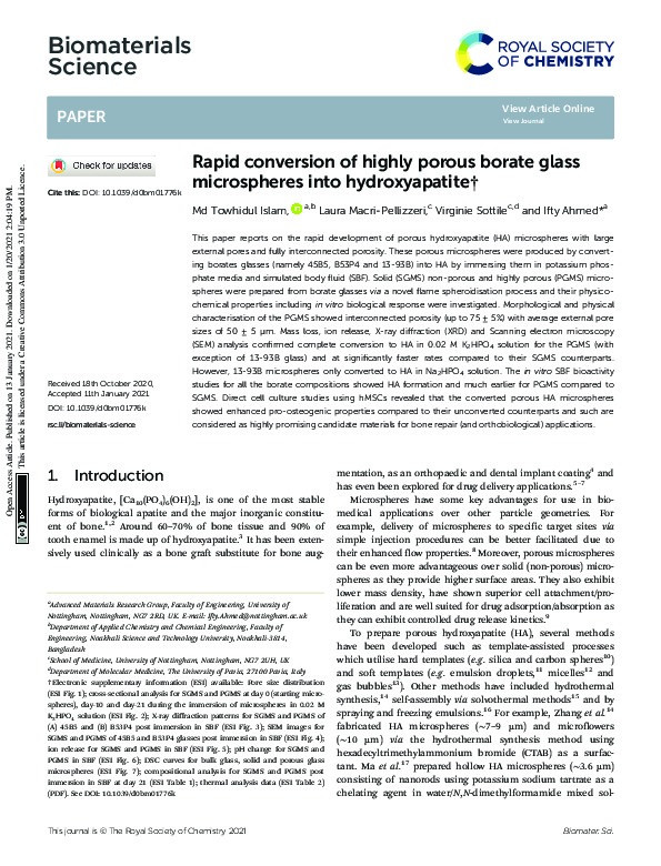 Rapid conversion of highly porous borate glass microspheres into hydroxyapatite Thumbnail