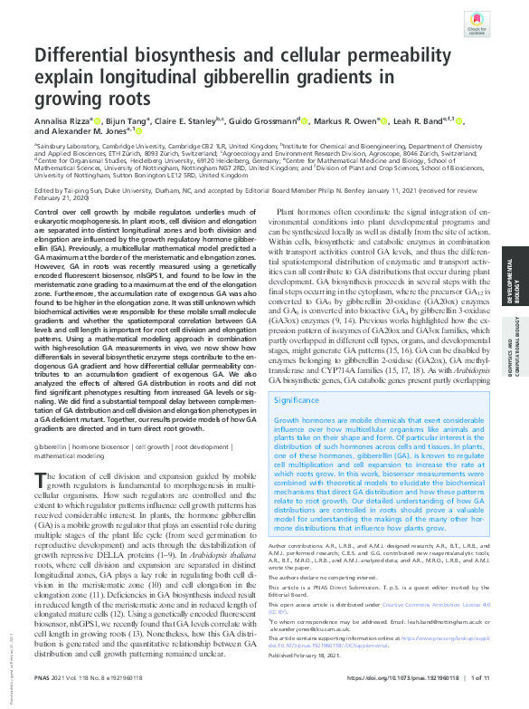 Differential biosynthesis and cellular permeability explain longitudinal gibberellin gradients in growing roots Thumbnail