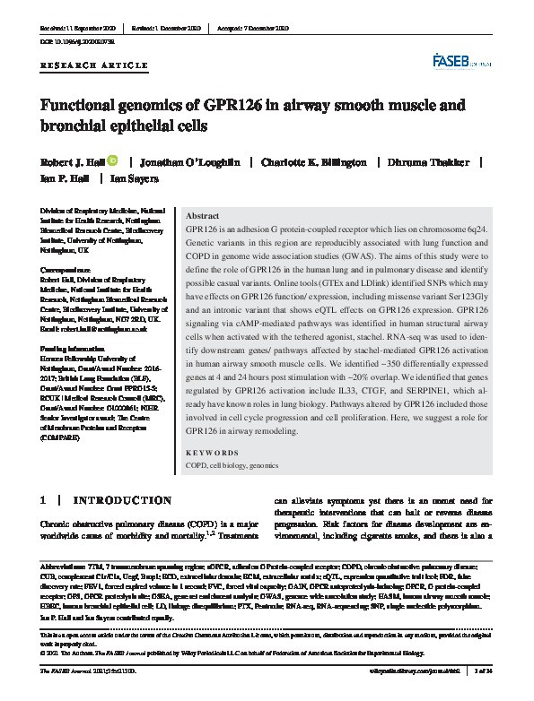 Functional genomics of GPR126 in airway smooth muscle and bronchial epithelial cells Thumbnail