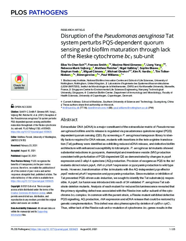 Disruption of the Pseudomonas aeruginosa Tat system perturbs PQS-dependent quorum sensing and biofilm maturation through lack of the Rieske cytochrome bc1sub-unit Thumbnail