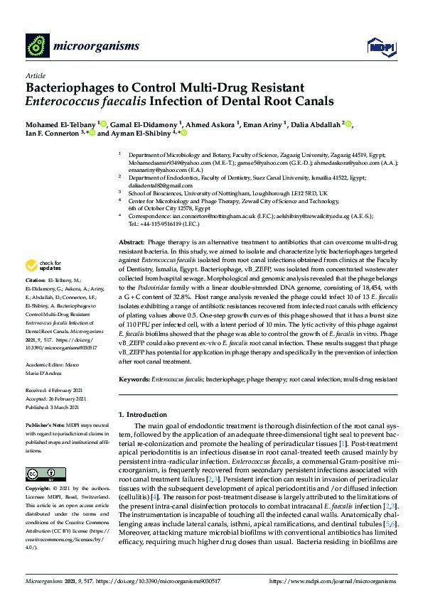 Bacteriophages to control multi-drug resistant enterococcus faecalis infection of dental root canals Thumbnail