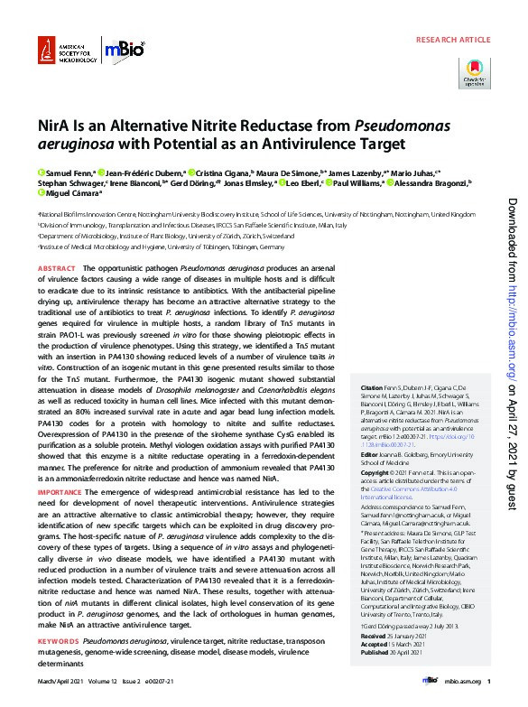 NirA Is an Alternative Nitrite Reductase from Pseudomonas aeruginosa with Potential as an Antivirulence Target Thumbnail