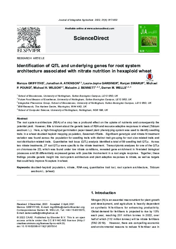 Identification of QTL and underlying genes for root system architecture associated with nitrate nutrition in hexaploid wheat Thumbnail