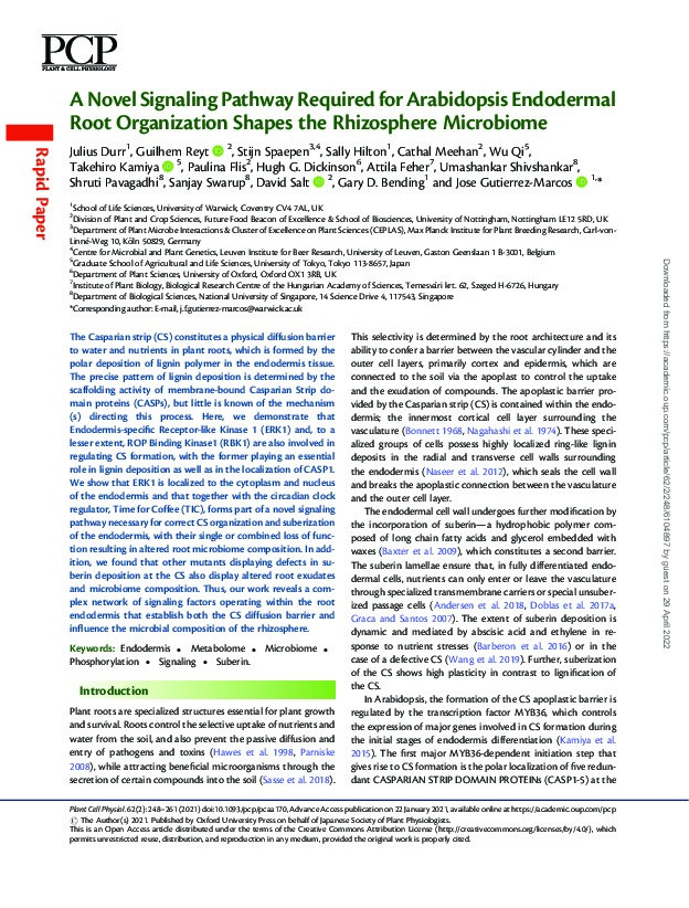 A Novel Signaling Pathway Required for Arabidopsis Endodermal Root Organization Shapes the Rhizosphere Microbiome Thumbnail