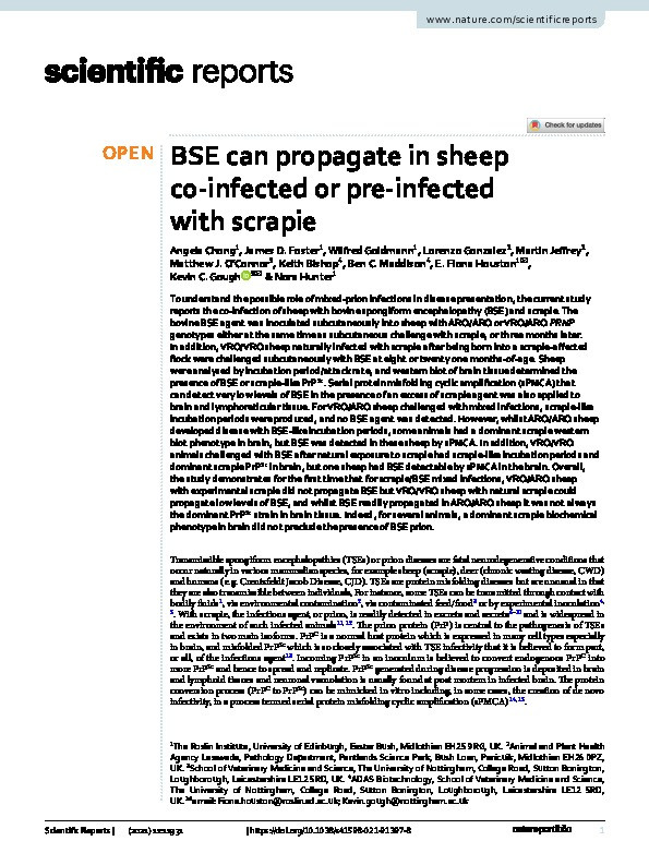 BSE can propagate in sheep co-infected or pre-infected with scrapie Thumbnail