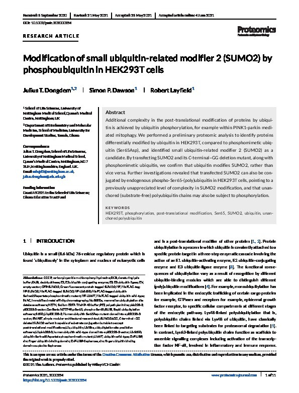 Modification of small ubiquitin-related modifier 2 (SUMO2) by phosphoubiquitin in HEK293T cells Thumbnail