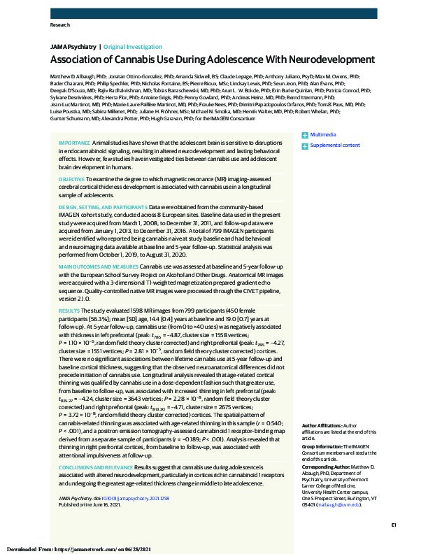 Association of Cannabis Use During Adolescence With Neurodevelopment Thumbnail