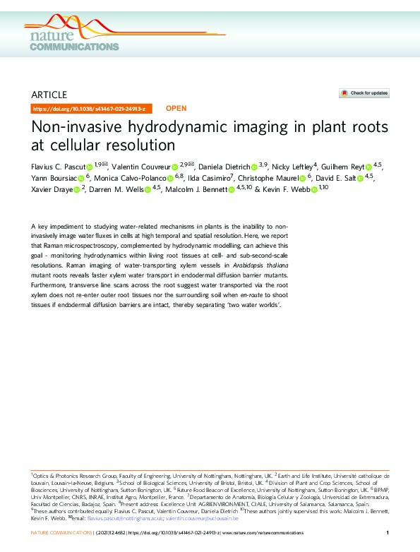 Non-invasive hydrodynamic imaging in plant roots at cellular resolution Thumbnail