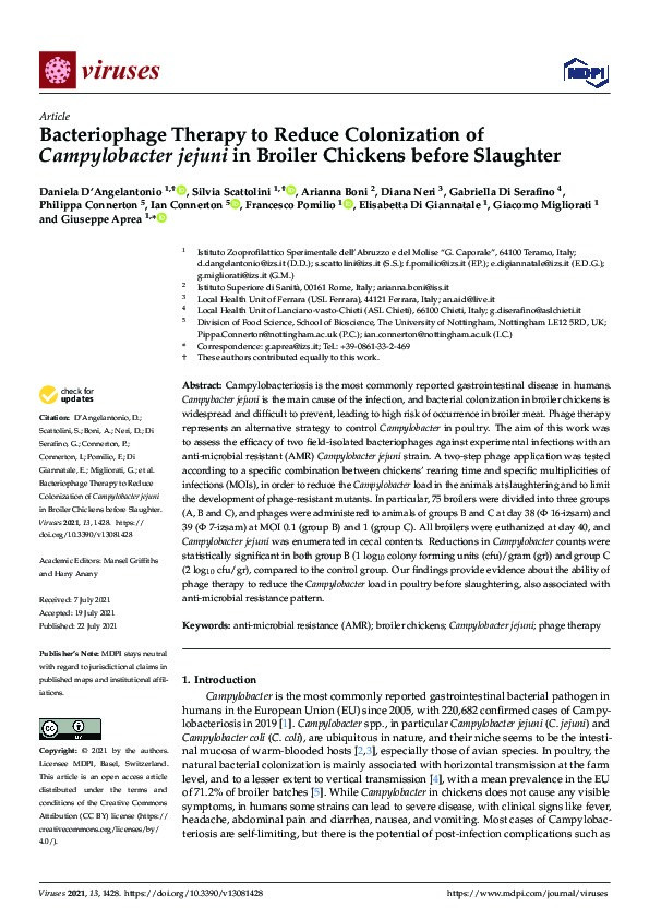 Bacteriophage therapy to reduce colonization of campylobacter jejuni in broiler chickens before slaughter Thumbnail