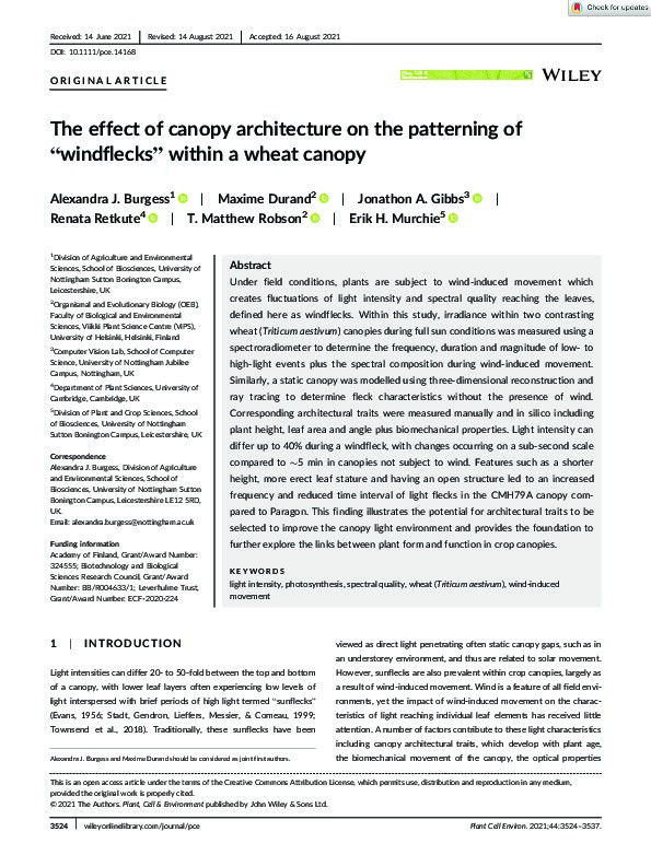 The effect of canopy architecture on the patterning of “windflecks” within a wheat canopy Thumbnail