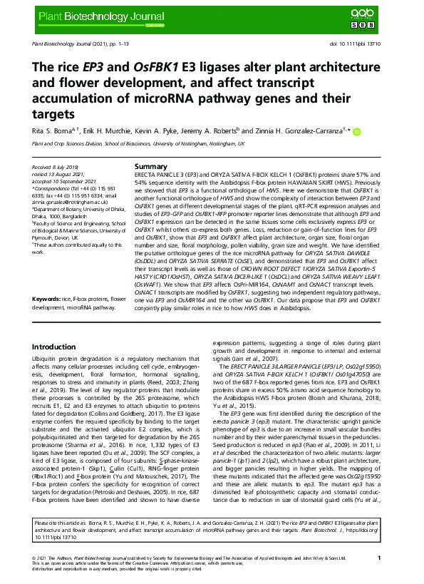 The rice EP3 and OsFBK1 E3 ligases alter plant architecture and flower development, and affect transcript accumulation of microRNA pathway genes and their targets Thumbnail