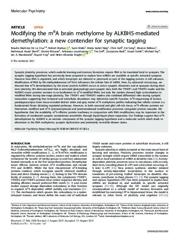 Modifying the m6A brain methylome by ALKBH5-mediated demethylation: a new contender for synaptic tagging Thumbnail