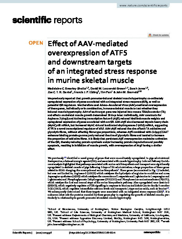 Effect of AAV-mediated overexpression of ATF5 and downstream targets of an integrated stress response in murine skeletal muscle Thumbnail