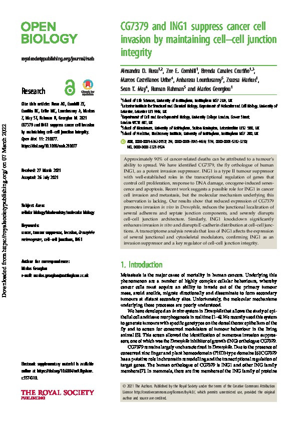 CG7379 and ING1 suppress cancer cell invasion by maintaining cell–cell junction integrity Thumbnail