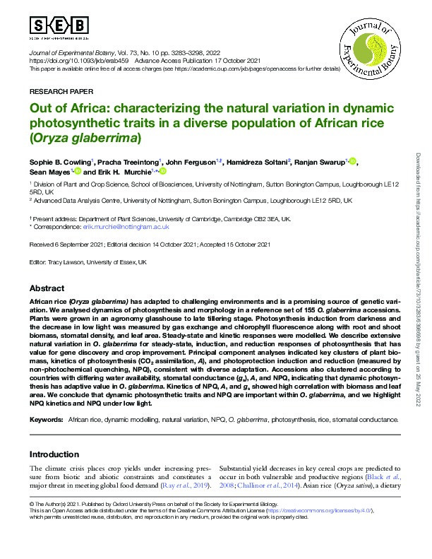 Out of Africa: characterising the natural variation in dynamic photosynthetic traits in a diverse population of African rice (Oryza glaberrima) Thumbnail