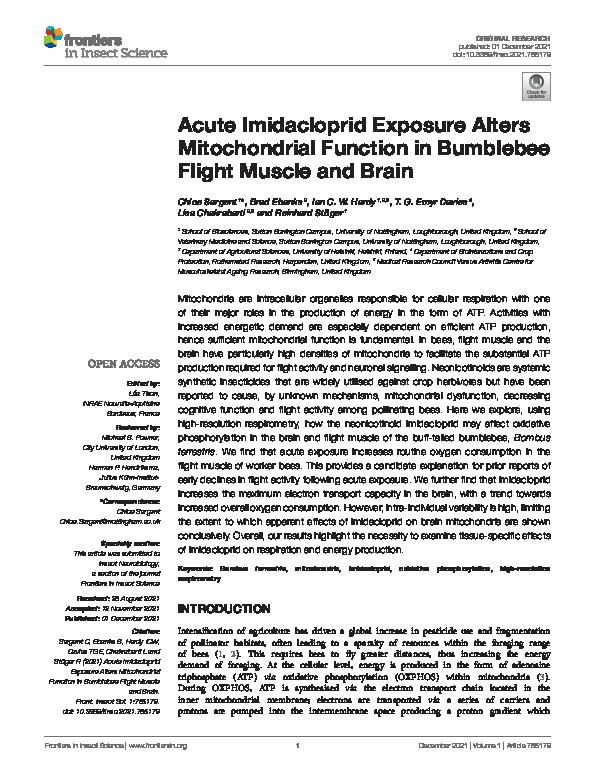 Acute Imidacloprid Exposure Alters Mitochondrial Function in Bumblebee Flight Muscle and Brain Thumbnail