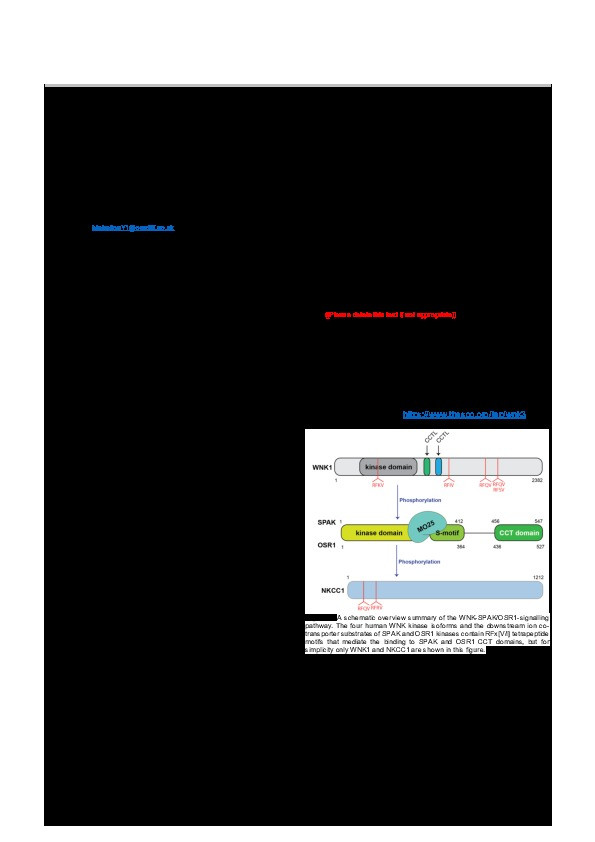 Structures of the Human SPAK and OSR1 Conserved C-Terminal (CCT) Domains Thumbnail