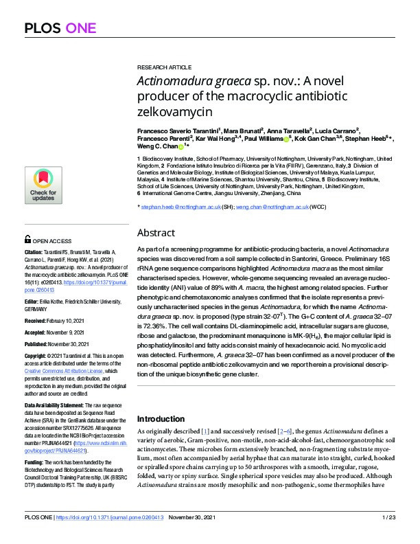 Actinomadura graeca sp. nov.: A novel producer of the macrocyclic antibiotic zelkovamycin Thumbnail