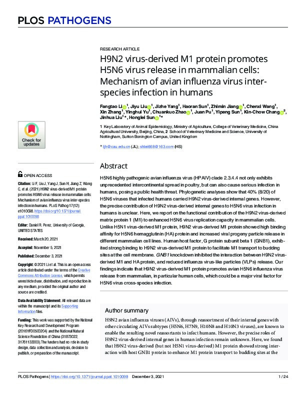 H9N2 virus-derived M1 protein promotes H5N6 virus release in mammalian cells: Mechanism of avian influenza virus inter-species infection in humans Thumbnail