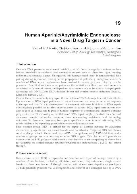 Human apurinic/apyrimidinic endonuclease is a novel drug target in cancer Thumbnail