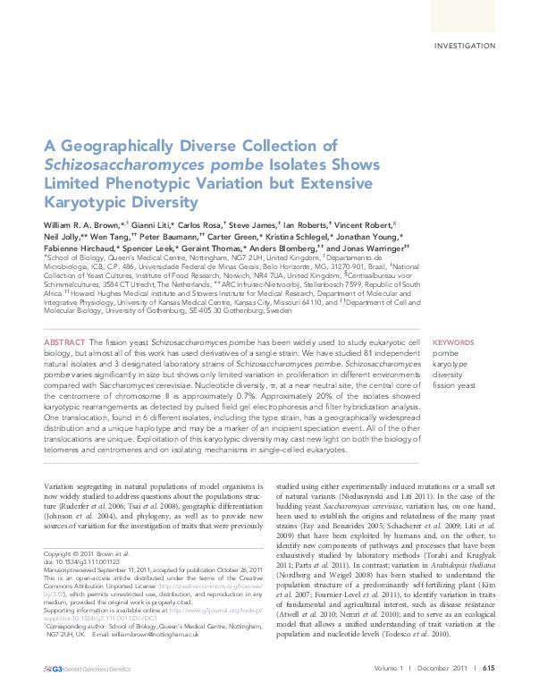 A geographically diverse collection of schizosaccharomyces pombe isolates shows limited phenotypic variation but extensive karyotypic diversity Thumbnail