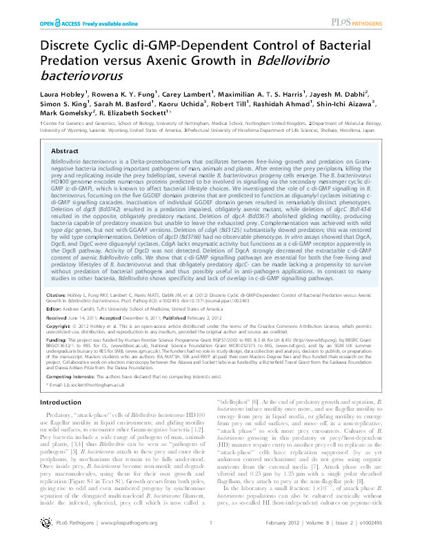 Discrete cyclic di-GMP-dependent control of bacterial predation versus axenic growth in Bdellovibrio bacteriovorus Thumbnail