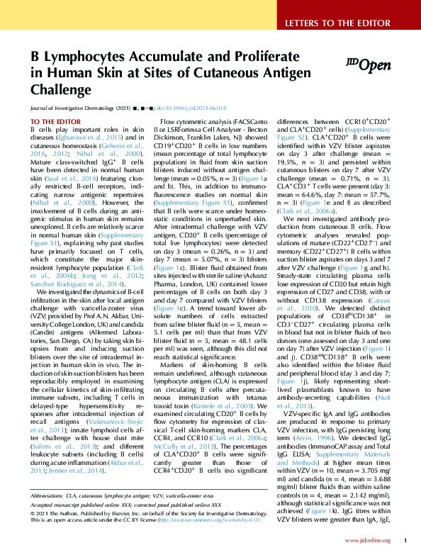 B Lymphocytes Accumulate and Proliferate in Human Skin at Sites of Cutaneous Antigen Challenge Thumbnail