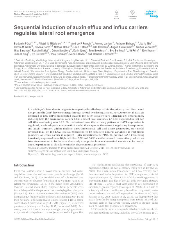 Sequential induction of auxin efflux and influx carriers regulates lateral root emergence Thumbnail