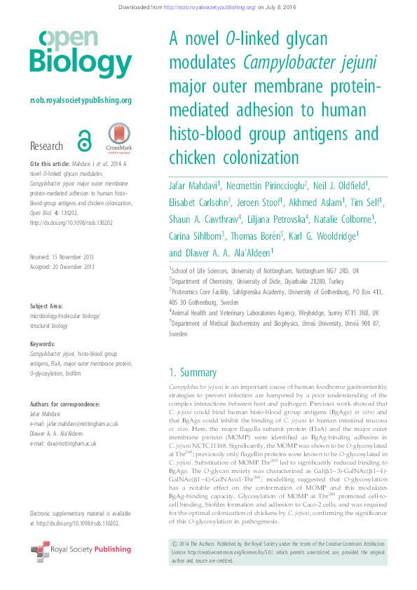 A novel O-linked glycan modulates Campylobacter jejuni major outer membrane protein-mediated adhesion to human histo-blood group antigens and chicken colonization Thumbnail