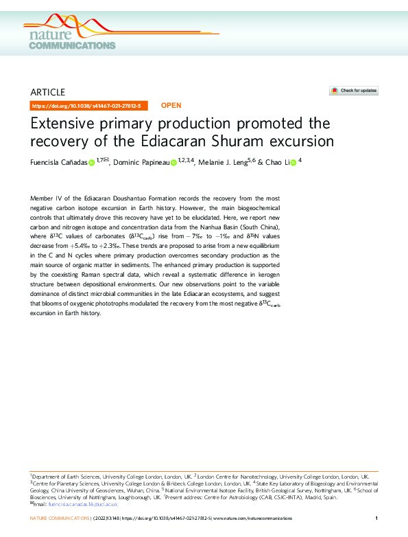 Extensive primary production promoted the recovery of the Ediacaran Shuram excursion Thumbnail