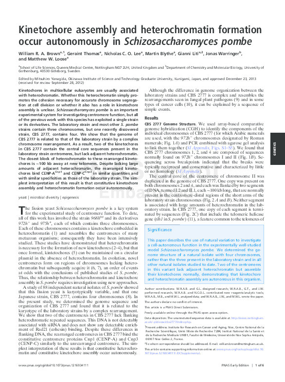 Kinetochore assembly and heterochromatin formation occur autonomously in Schizosaccharomyces pombe Thumbnail