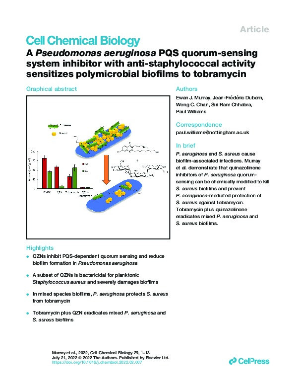 A Pseudomonas aeruginosa PQS quorum-sensing system inhibitor with anti-staphylococcal activity sensitizes polymicrobial biofilms to tobramycin Thumbnail