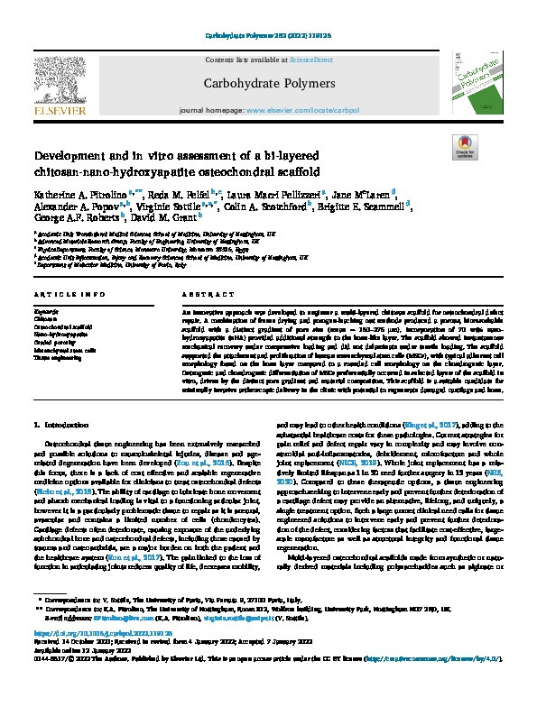 Development and in vitro assessment of a bi-layered chitosan-nano-hydroxyapatite osteochondral scaffold Thumbnail