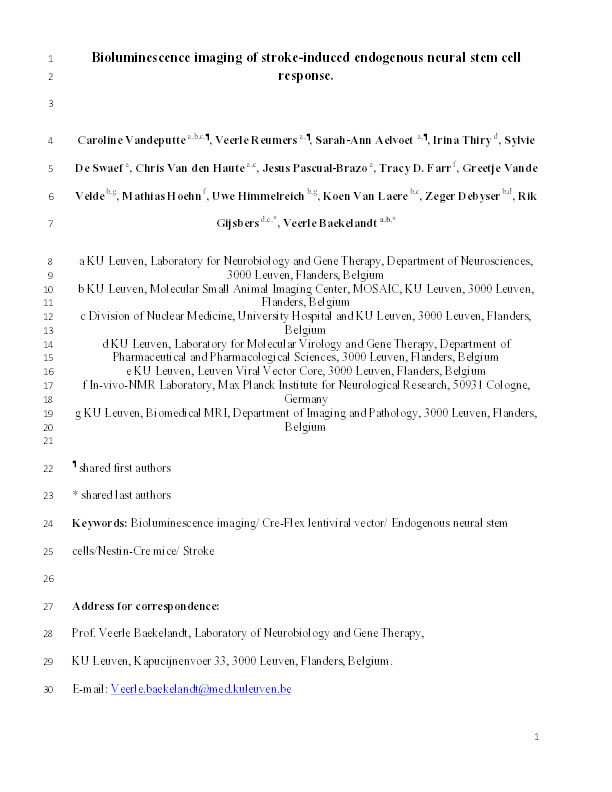Bioluminescence imaging of stroke-induced endogenous neural stem cell response Thumbnail