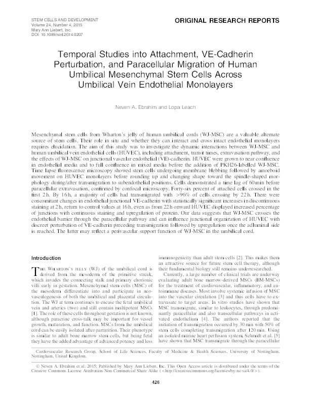 Temporal studies into attachment, VE-cadherin perturbation, and paracellular migration of human umbilical mesenchymal stem cells across umbilical vein endothelial monolayers Thumbnail