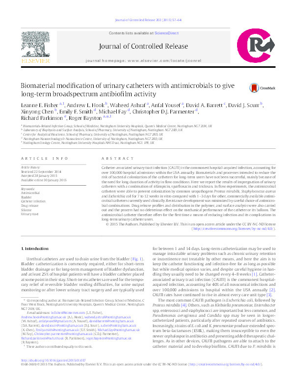 Biomaterial modification of urinary catheters with antimicrobials to give long-term broadspectrum antibiofilm activity Thumbnail