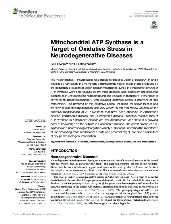 Mitochondrial ATP Synthase is a Target of Oxidative Stress in Neurodegenerative Diseases Thumbnail