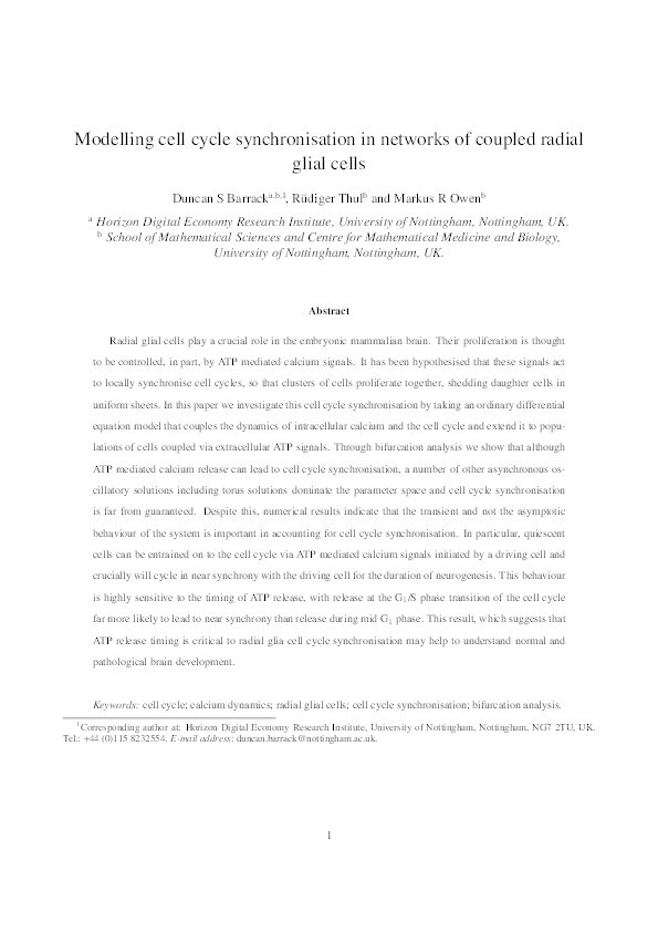 Modelling cell cycle synchronisation in networks of coupled radial glial cells Thumbnail